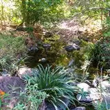 Naturaleza viva dentro de la Sierra de Huautla en Tlaquiltenango, Morelos