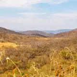 Bellos colores en este hermoso paisaje de la sierra de Huautla en el estado de Morelos