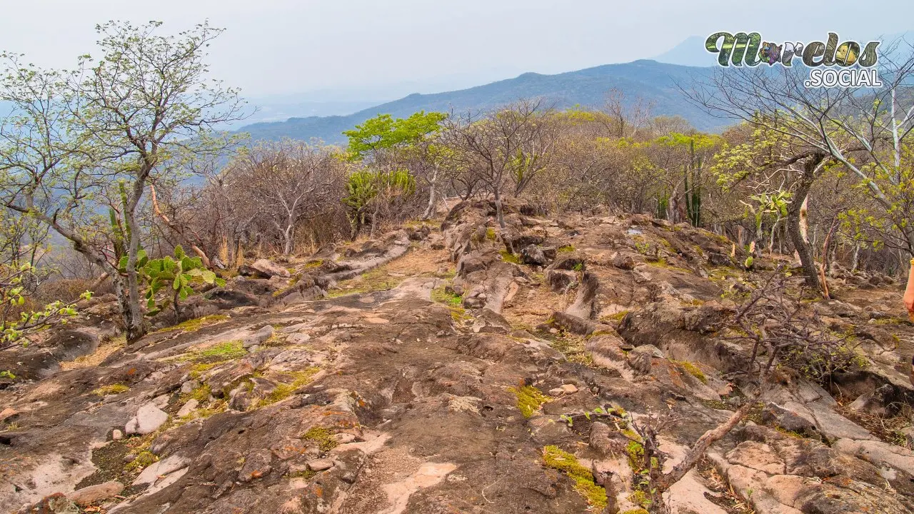 Naturaleza Viva en Chimalacatlán: Tesoro Arqueológico en Armonía con el Entorno