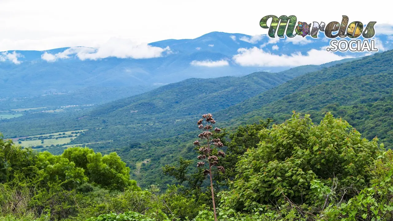 Cerros alrededor de la zona arqueológica de Xochicalco en Morelos