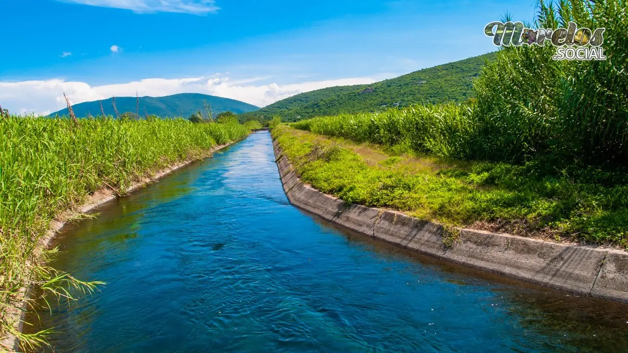 El canal de Tlaltizapán en los campos de la colonia Alejandra.