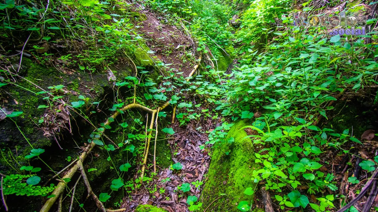 Cerro de Atlacholoaya, Morelos - 23 de Junio del 2021 | Colecciones multimedia | Morelos.social