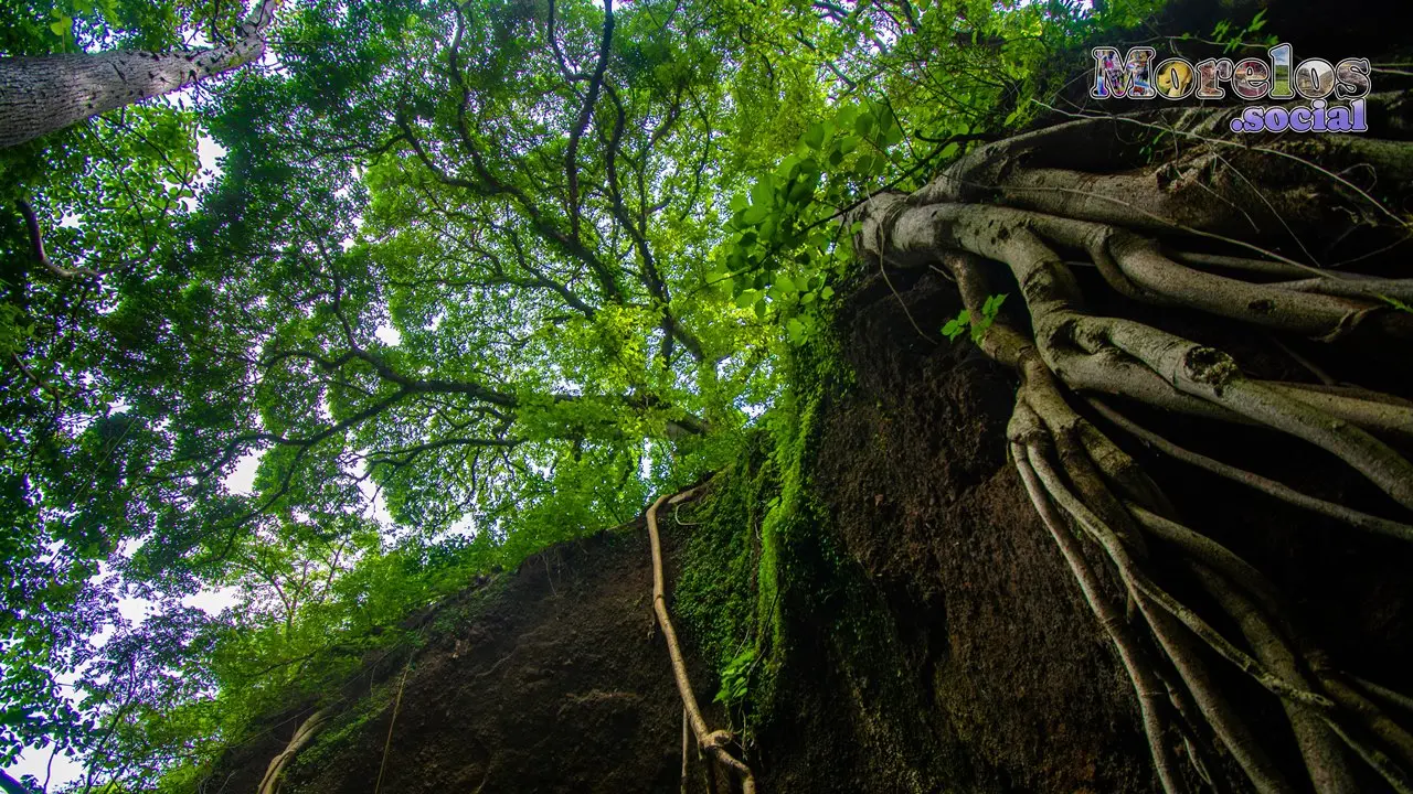 Cerro de Atlacholoaya, Morelos - 23 de Junio del 2021 | Colecciones multimedia | Morelos.social