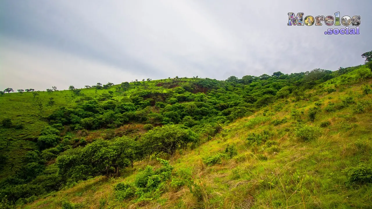 Cerro de Atlacholoaya, Morelos - 23 de Junio del 2021 | Colecciones multimedia | Morelos.social