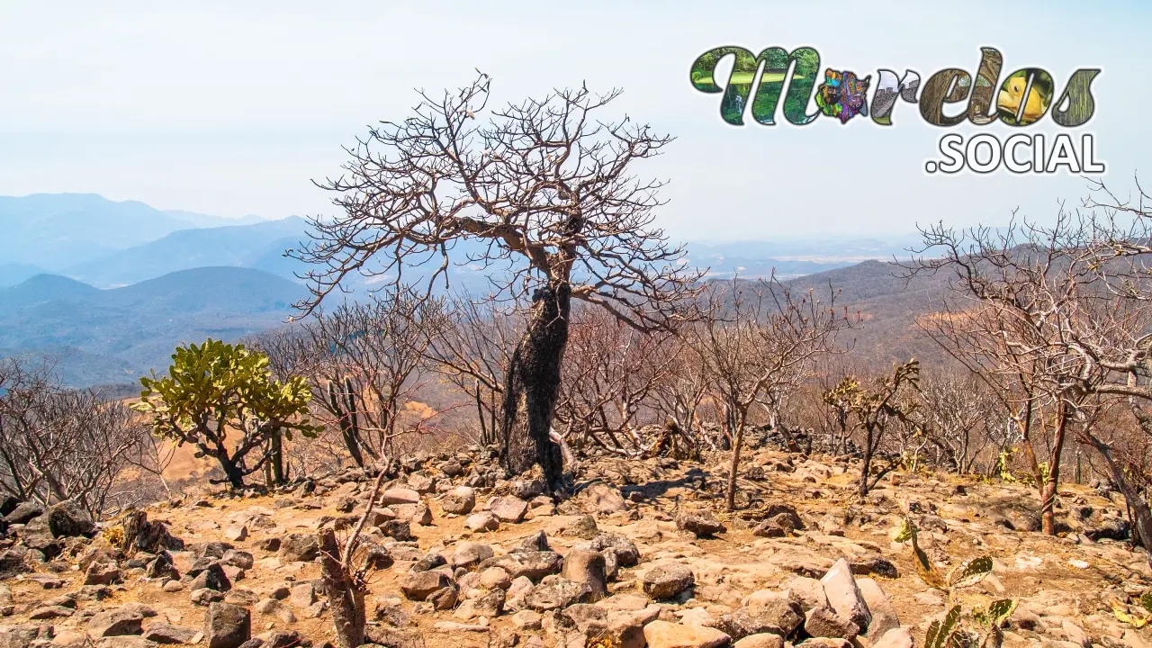 Una Oda al Otoño desde las Alturas de Chimalacatlán