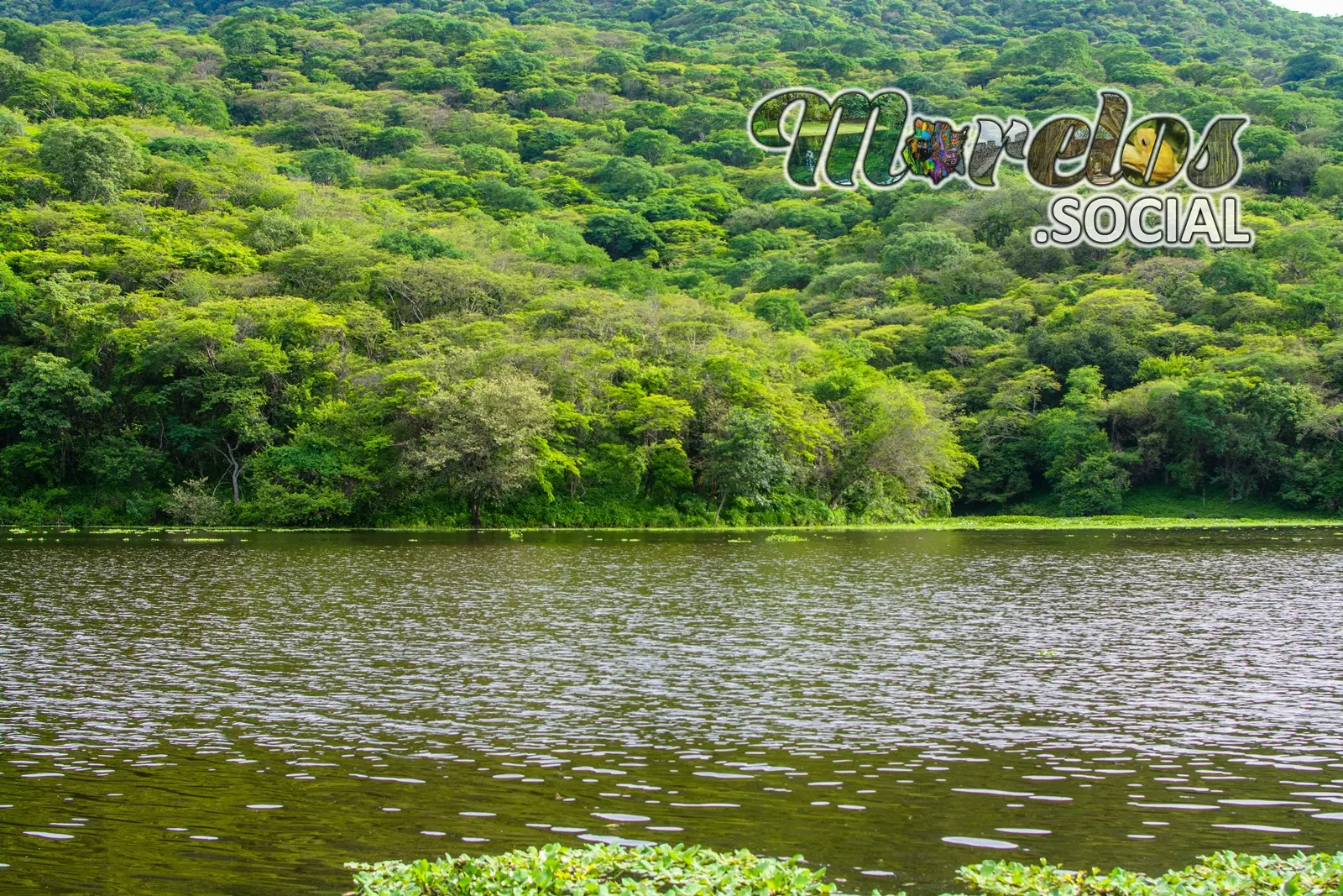 Bello paisaje en la presa de Cruz Pintada dentro de la Sierra de Huautla Morelos