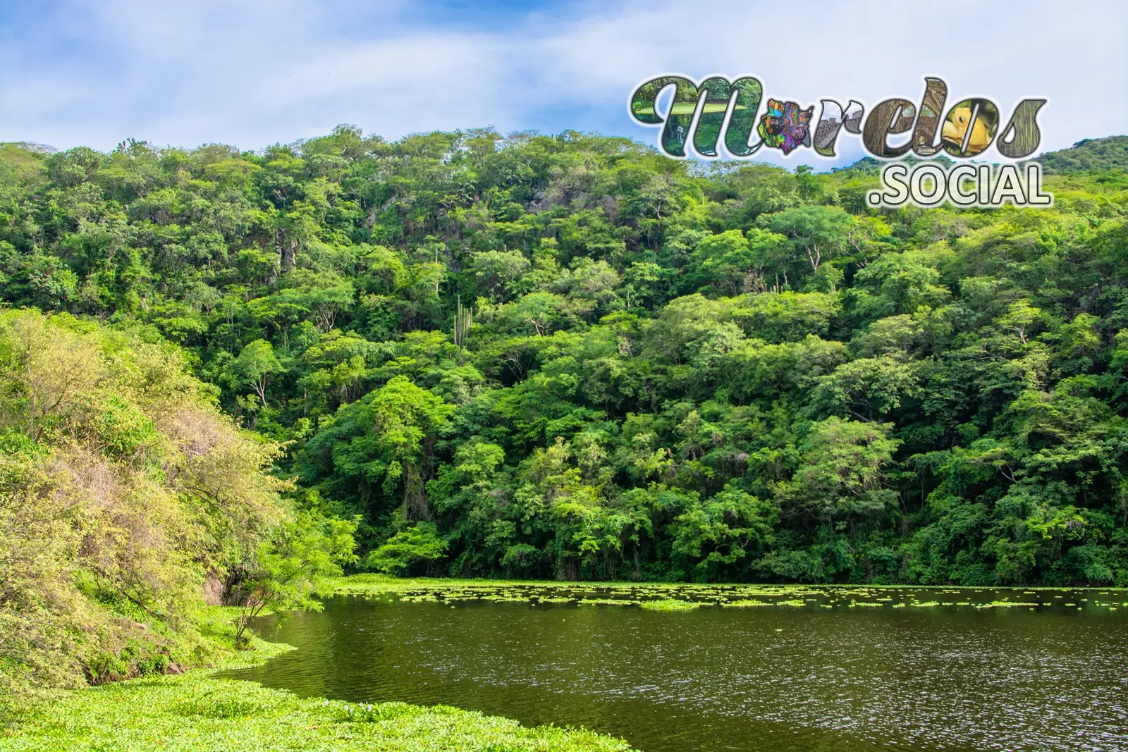 La presa Cruz Pintada y la selva baja caducifolia sobre los cerros que la rodean