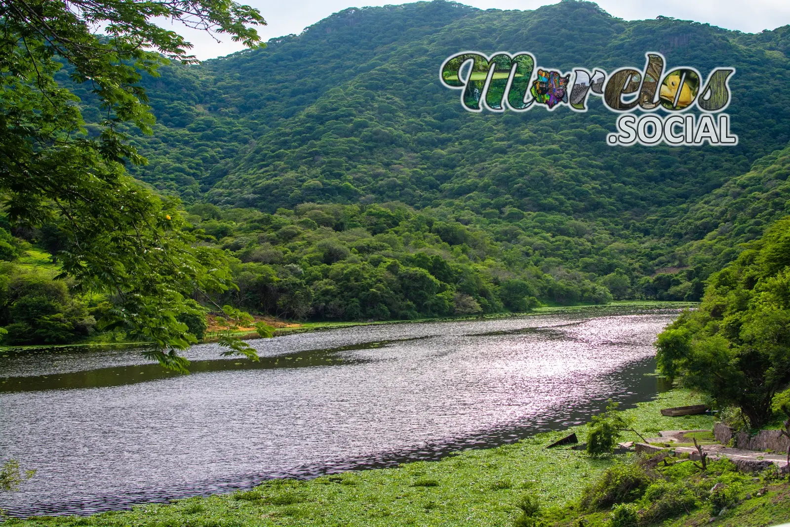 La presa Cruz Pintada rodeada de los cerros de la Sierra de Huautla en Morelos