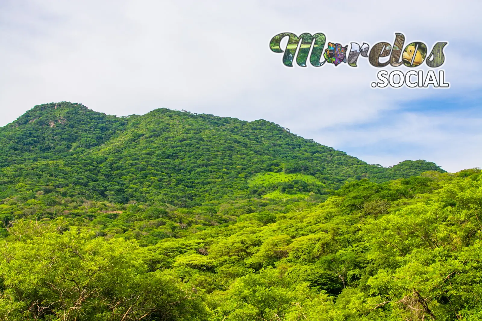 Montañas en la Sierra de Huautla constituidas por el ecosistema "Selva Baja Caducifolia"