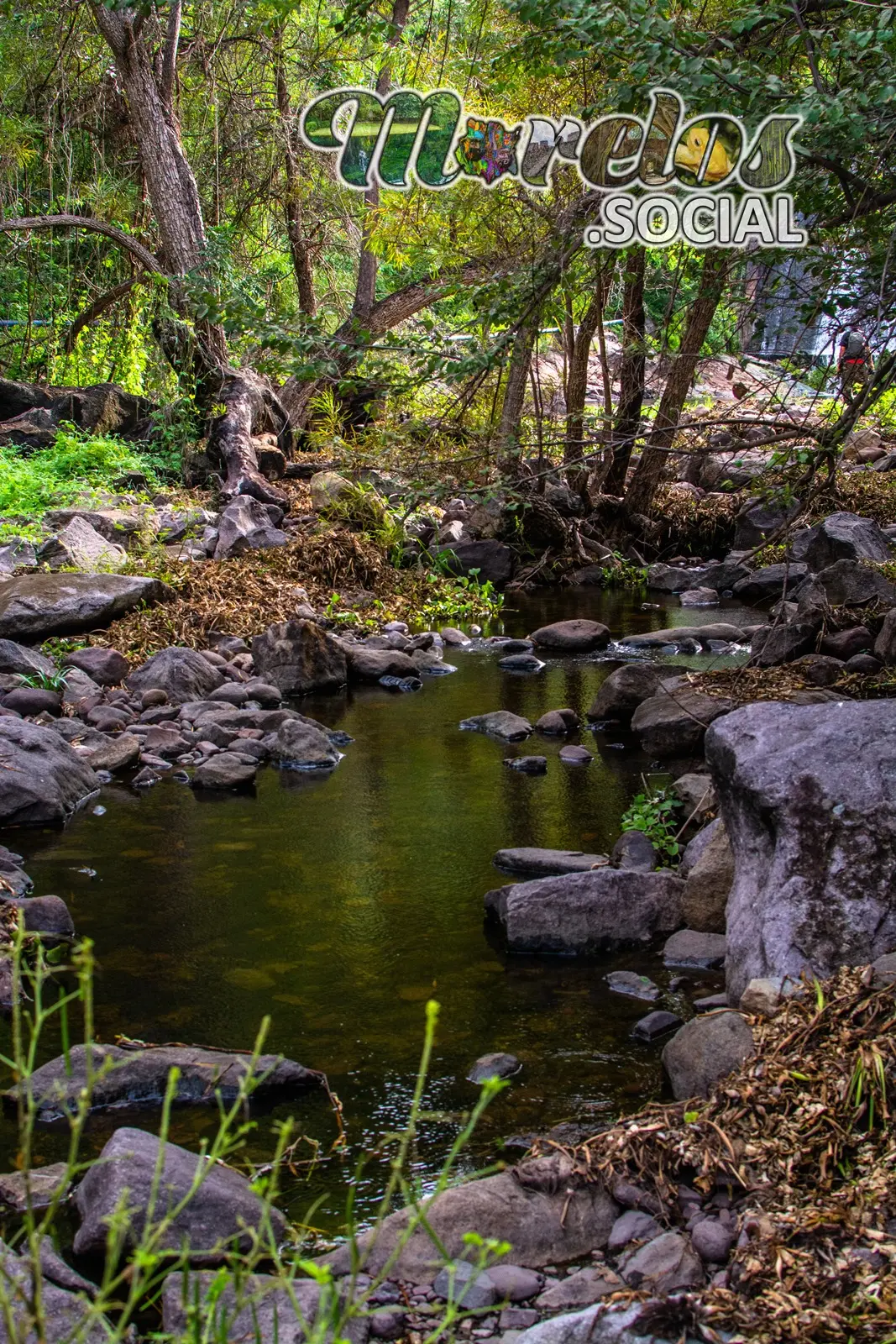 Rio despues de la presa Cruz Pintada en la Sierra de Huautla en el estado de Morelos