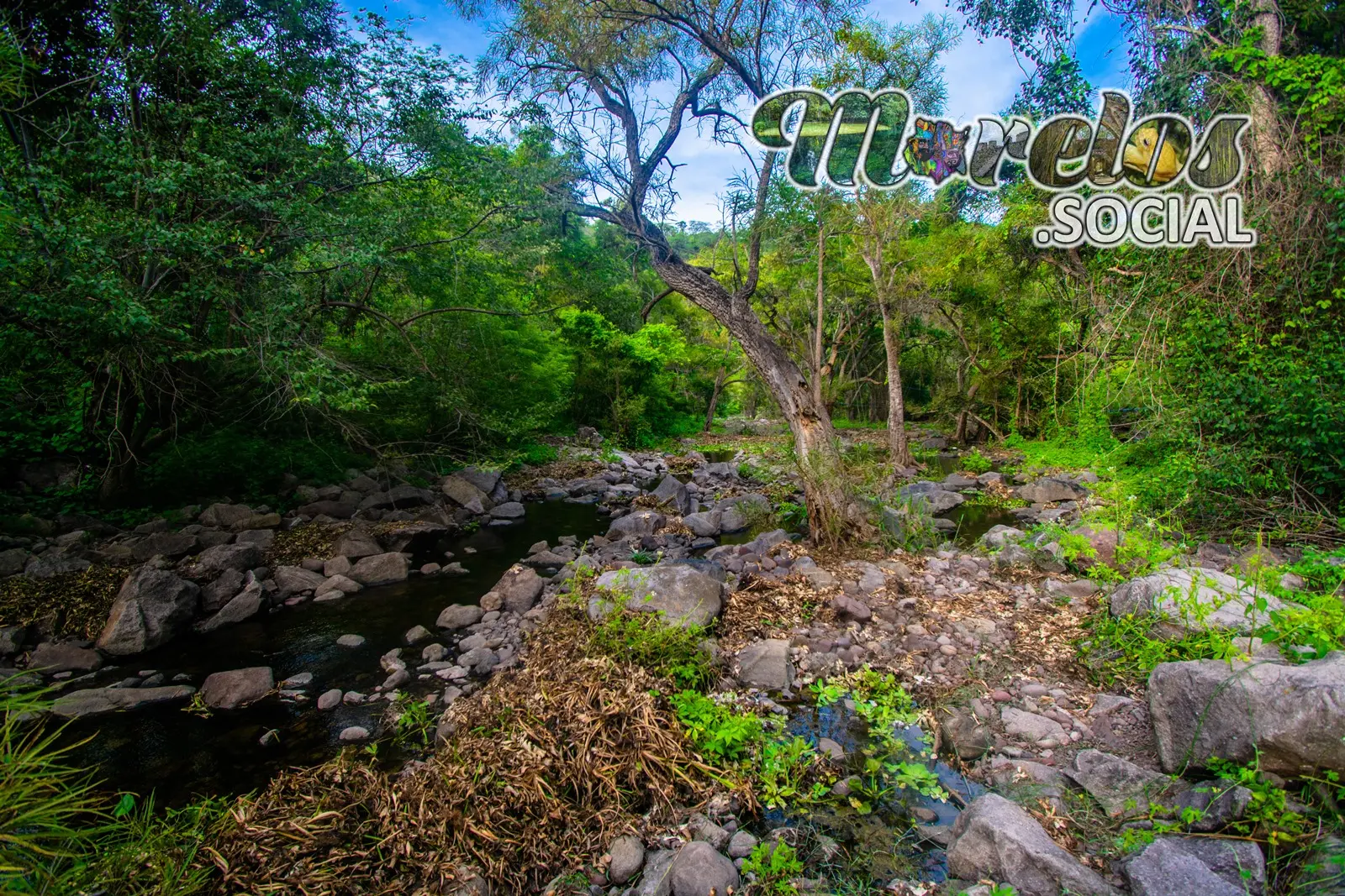 Bello paisaje de uno de los rios que se encuentran dentro de la Sierra de Huautla