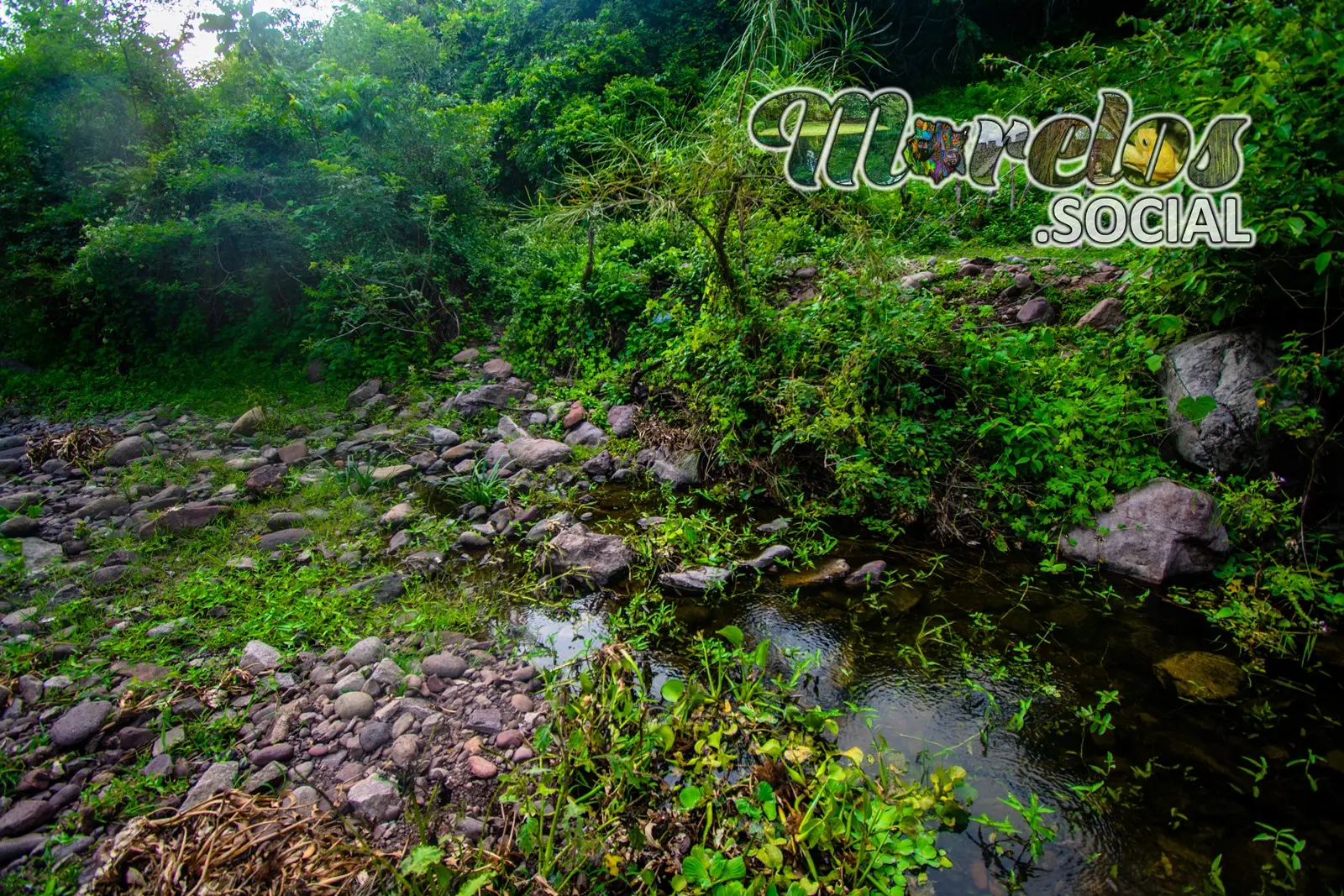 Ecosistema dentro de la reserva de la biosfera la Sierra de Huautla del estado de Morelos