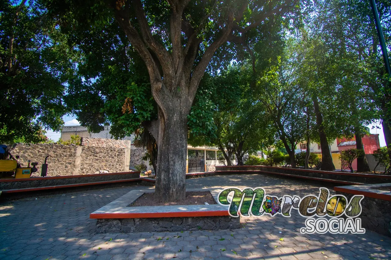 Parque al lado del Museo de la Revolución del Sur en Tlaltizapán, Morelos