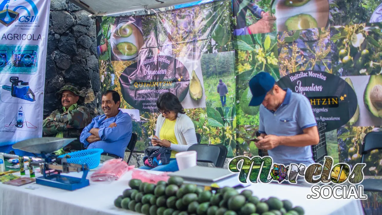 QUIAUHTZIN sociedad cooperativa aguacateros Huitzilac Morelos