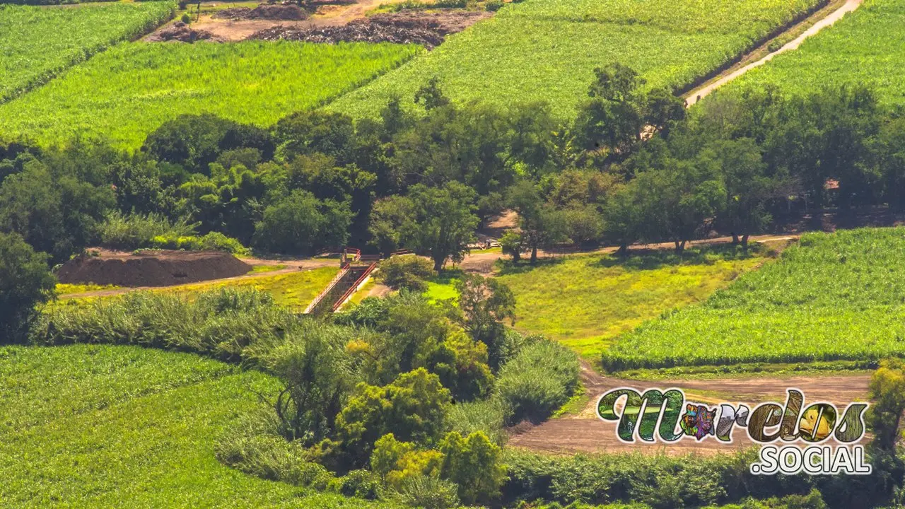 Las compuertas y el canal de Tlaltizapán.