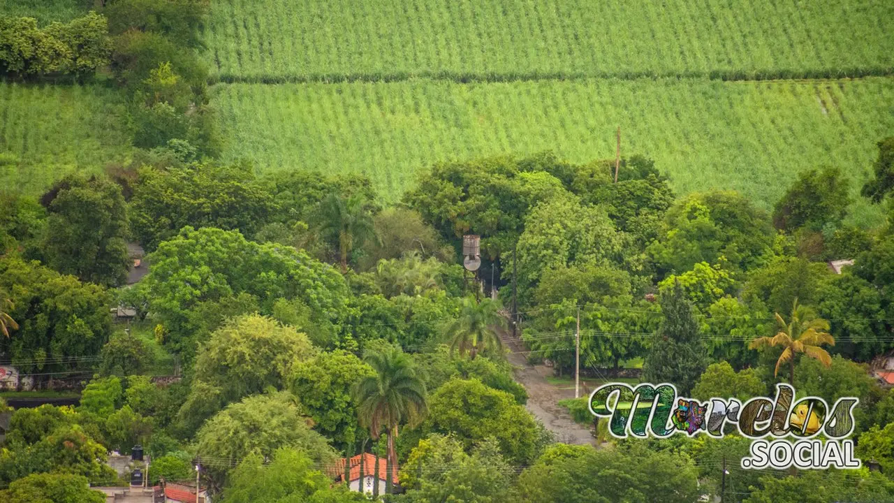 El tanque elevado en colonia Alejandra