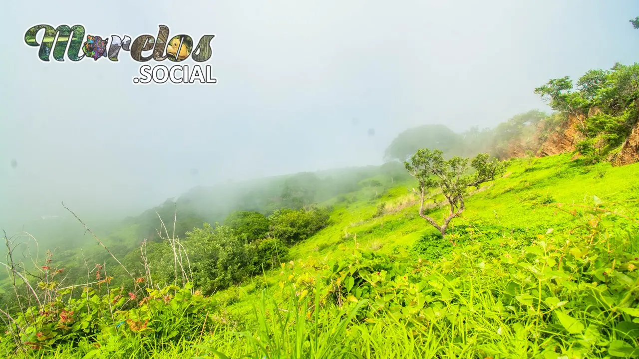 Fresca neblina de la mañana en el cerro de Atlacholoaya.