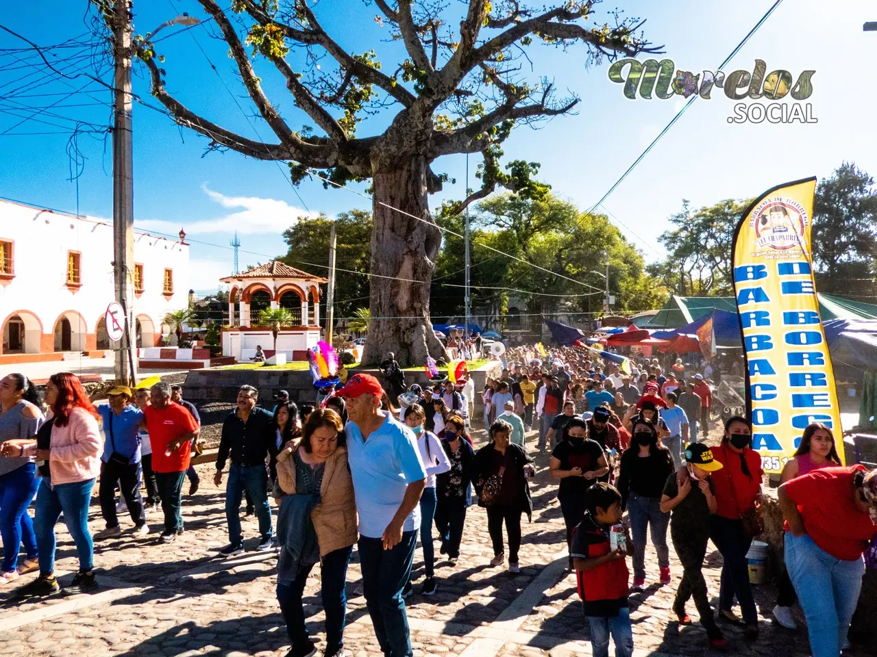 Árbol central del municipio de Tlayacapan Morelos.