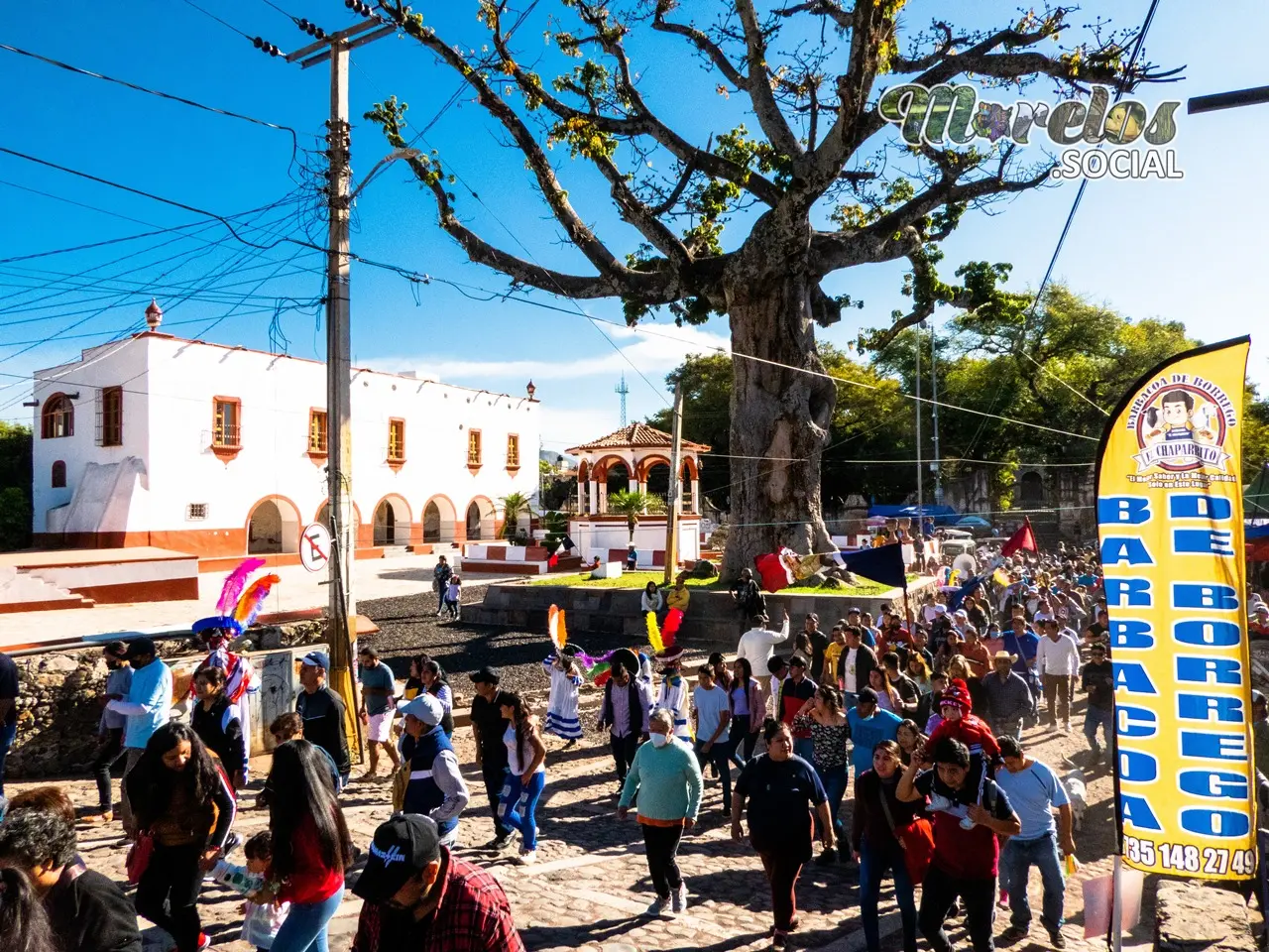 Árbol central del municipio de Tlayacapan Morelos.