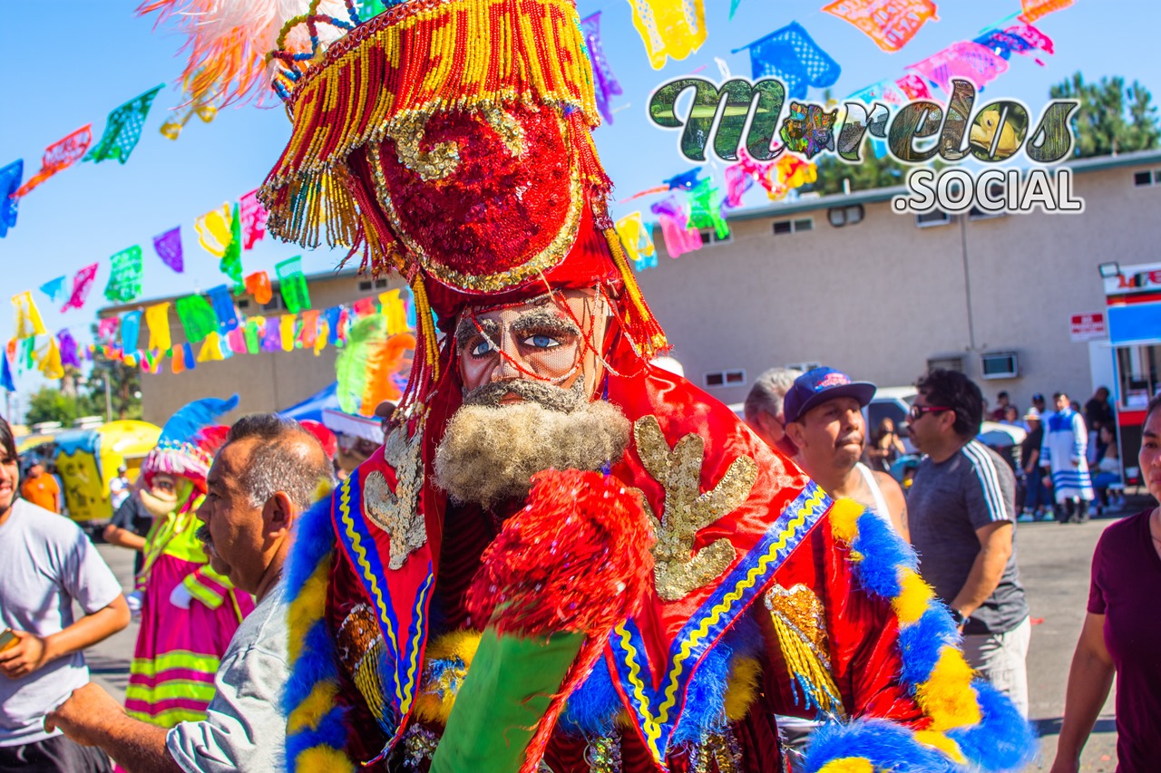 Chinelote brincando en Santa Ana California.