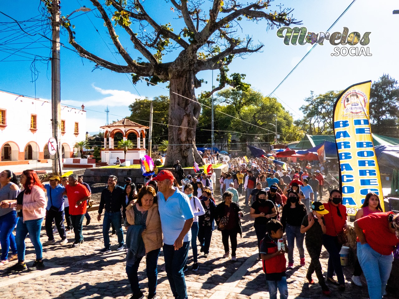 Árbol central del municipio de Tlayacapan Morelos.