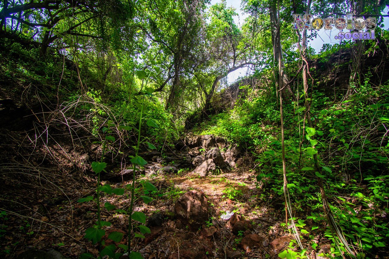 Cerro de Atlacholoaya, Morelos - 23 de Junio del 2021 | Colecciones multimedia | Morelos.social