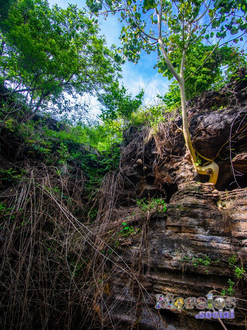 Cerro de Atlacholoaya, Morelos - 23 de Junio del 2021 | Colecciones multimedia | Morelos.social