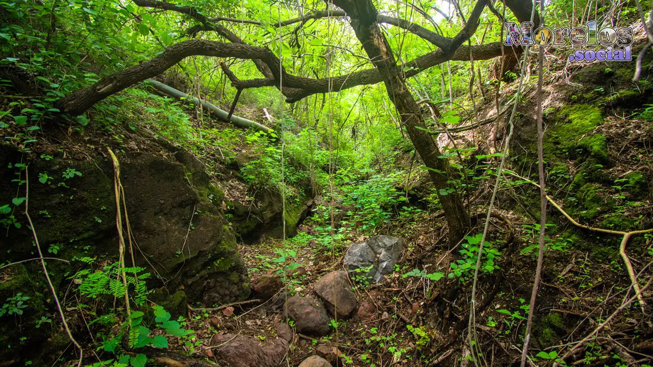 Cerro de Atlacholoaya, Morelos - 23 de Junio del 2021 | Colecciones multimedia | Morelos.social