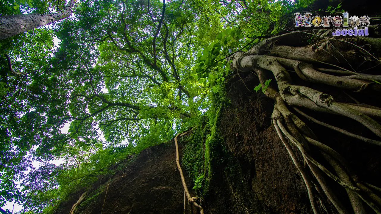 Cerro de Atlacholoaya, Morelos - 23 de Junio del 2021 | Colecciones multimedia | Morelos.social