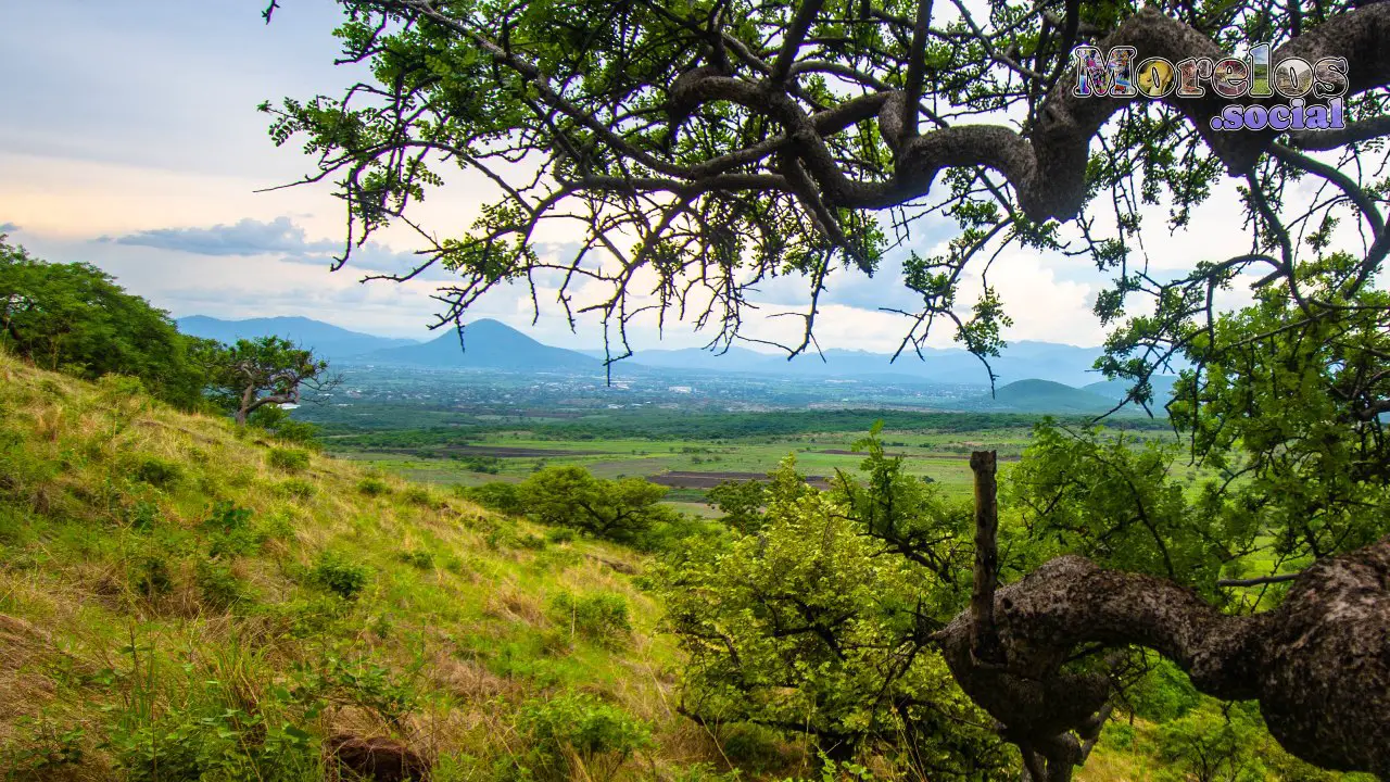 Cerro de Atlacholoaya, Morelos - 23 de Junio del 2021 | Colecciones multimedia | Morelos.social