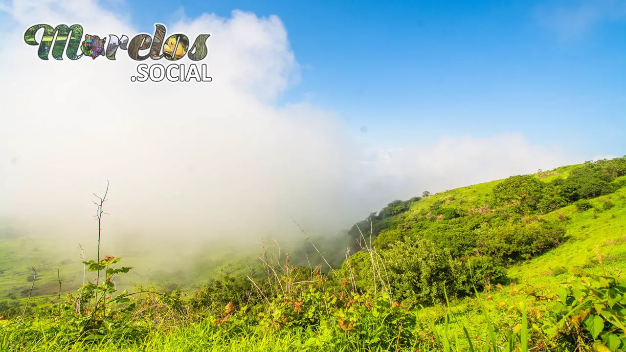 Fresca neblina de la mañana en el cerro de Atlacholoaya.