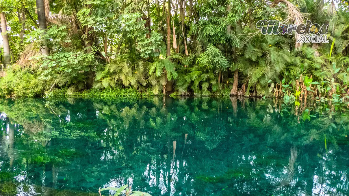 Río verde de las estacas.