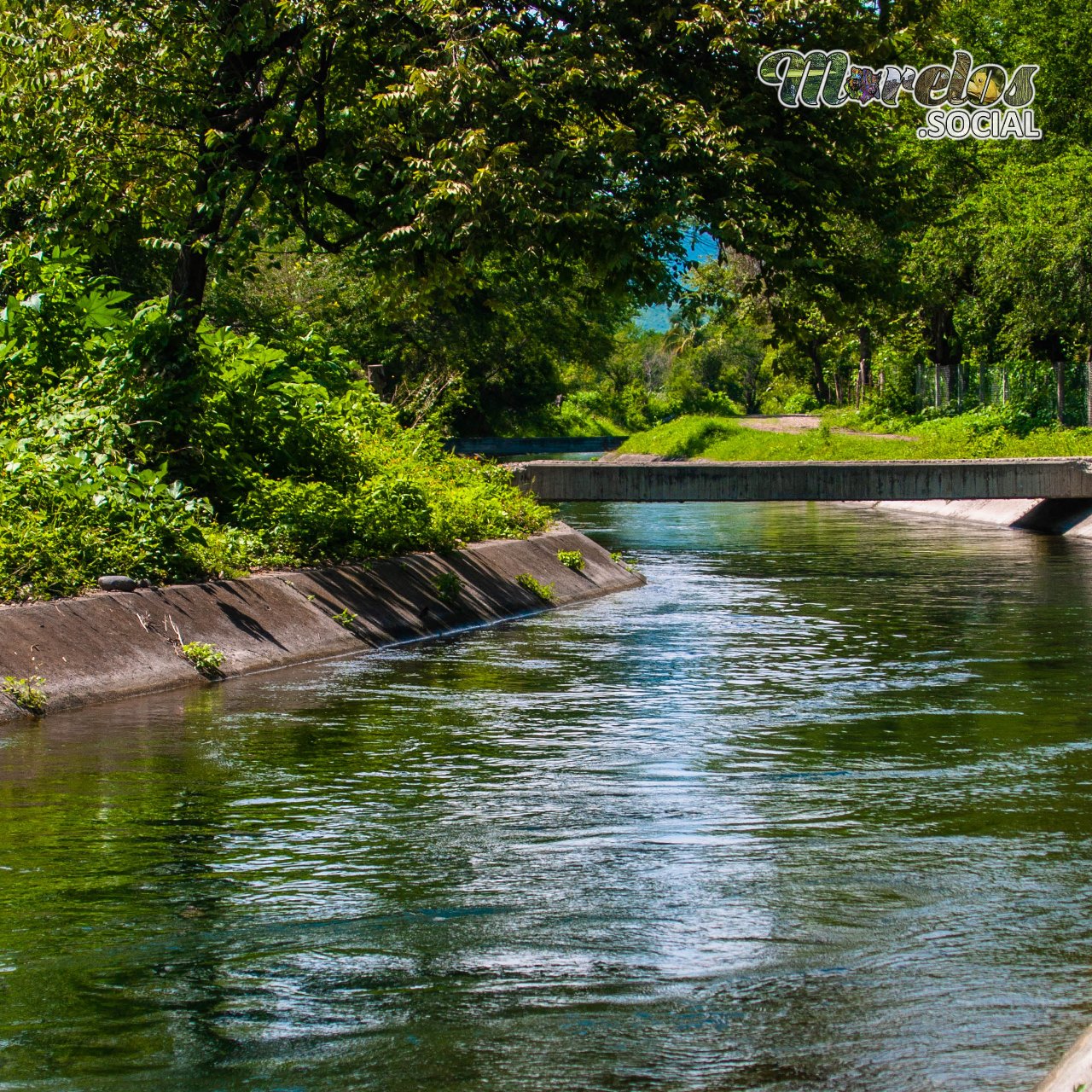 El Canal de Tlaltizapán de un bonito color verde