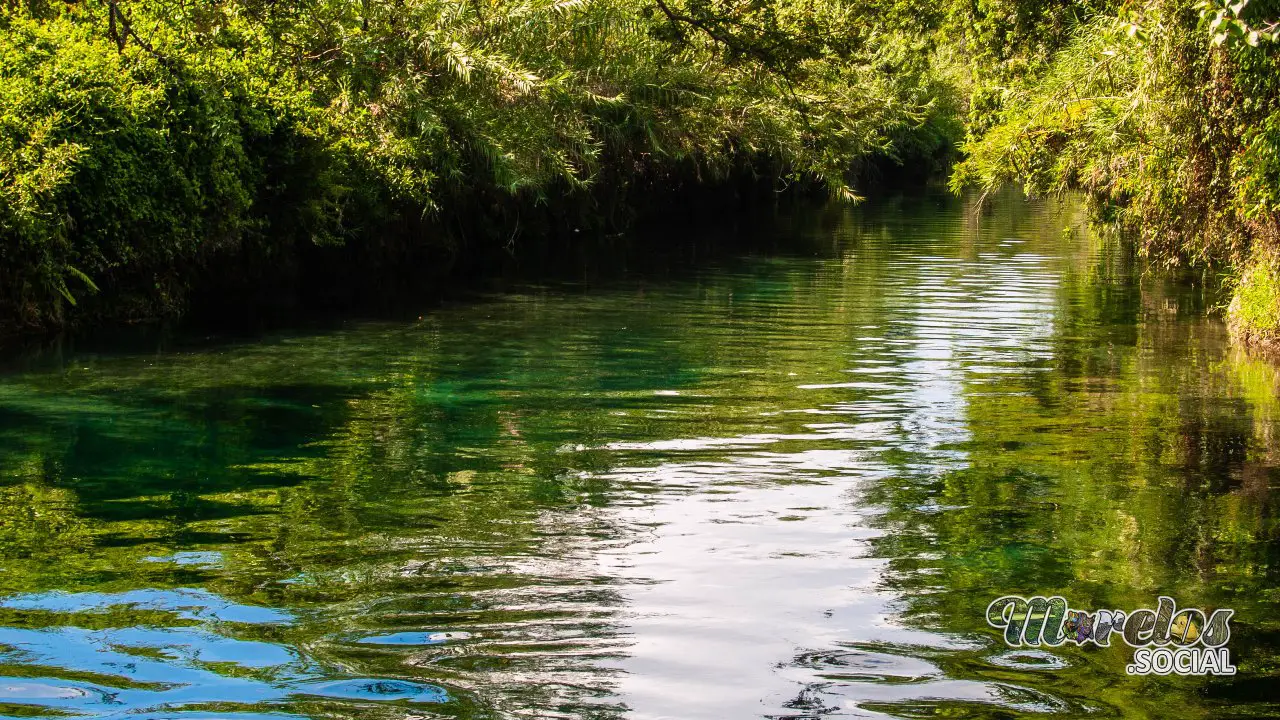 Al final del Río Verde o Río de las Estacas del municipio Tlaltizapán