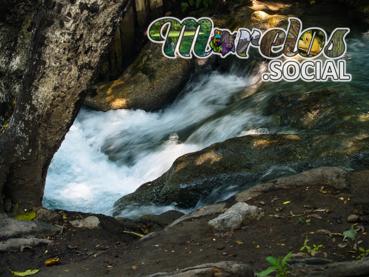 Pequeño arroyo dentro del balneario Las Huertas de Tlaquiltenango, Morelos