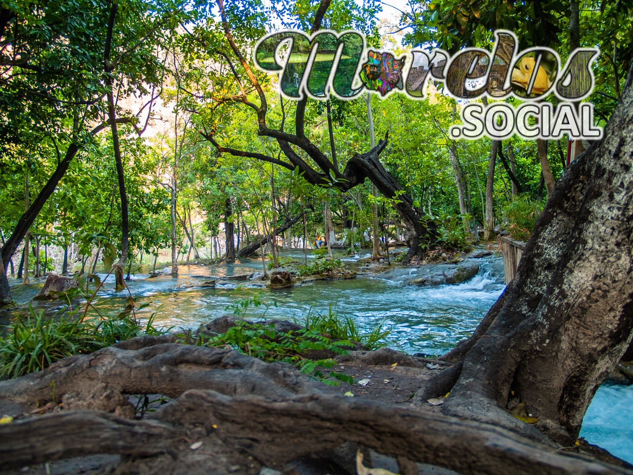 Muy bonito paisaje acuático dentro del balneario natural Las Huertas de Morelos