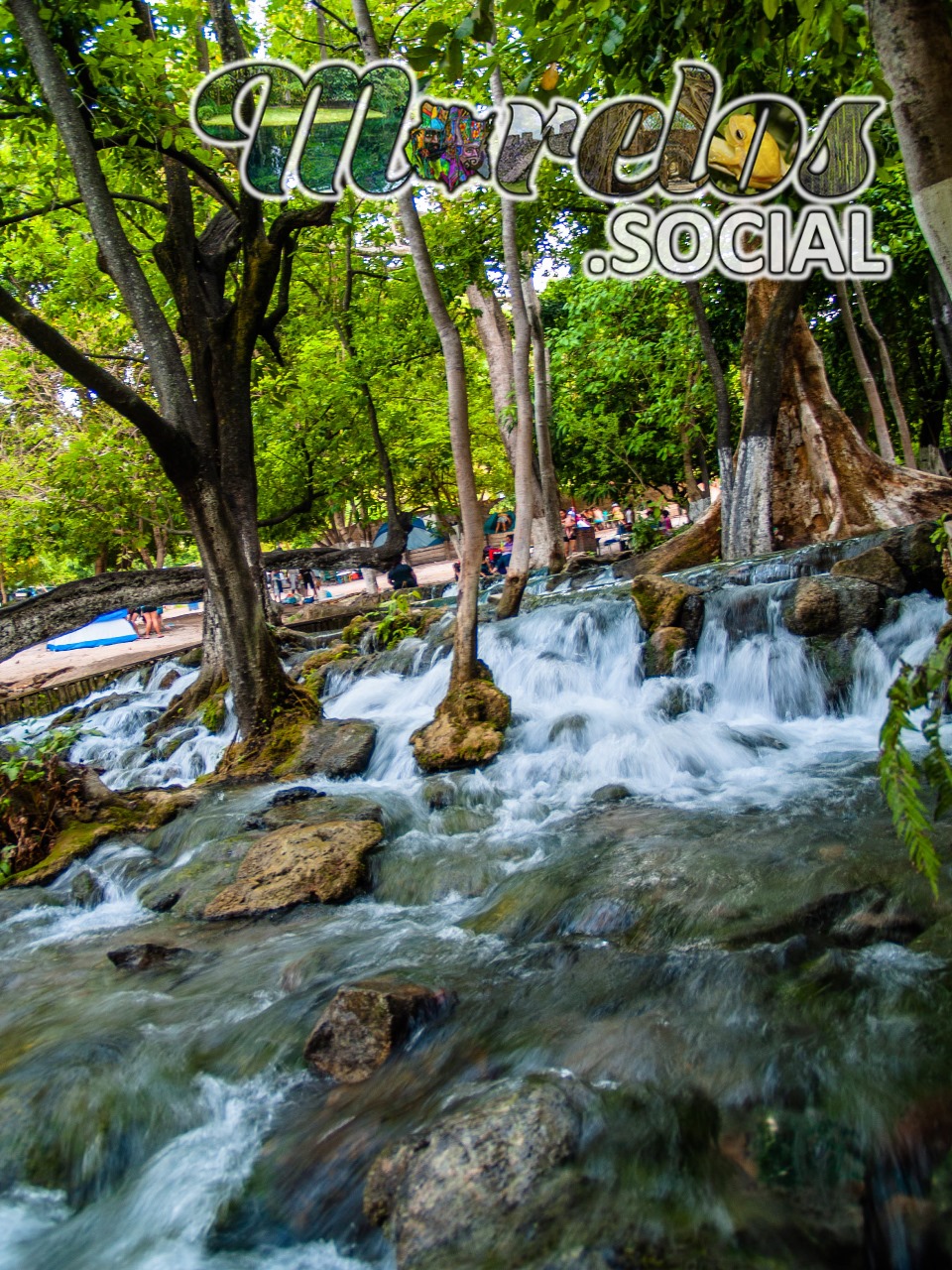 Bella postal del arroyo dentro del balneario "Las Huertas" en Tlaquiltenango, Morelos