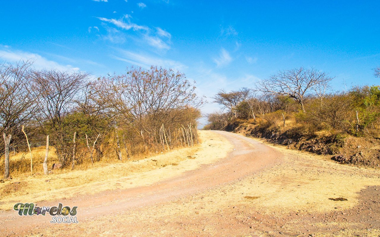 Camino de terracería dentro de la Sierra de Huautla del estado de Morelos.