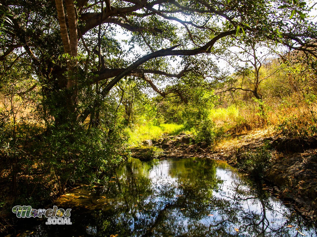 Estanque natural ubicado dentro de la Sierra de Huautla en Tlaquiltenango, Morelos