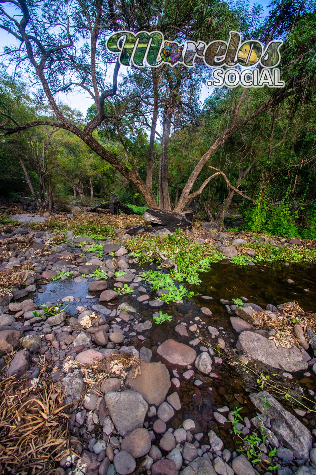 Arroyo dentro de la SIerra de Huautla en el estado de Morelos