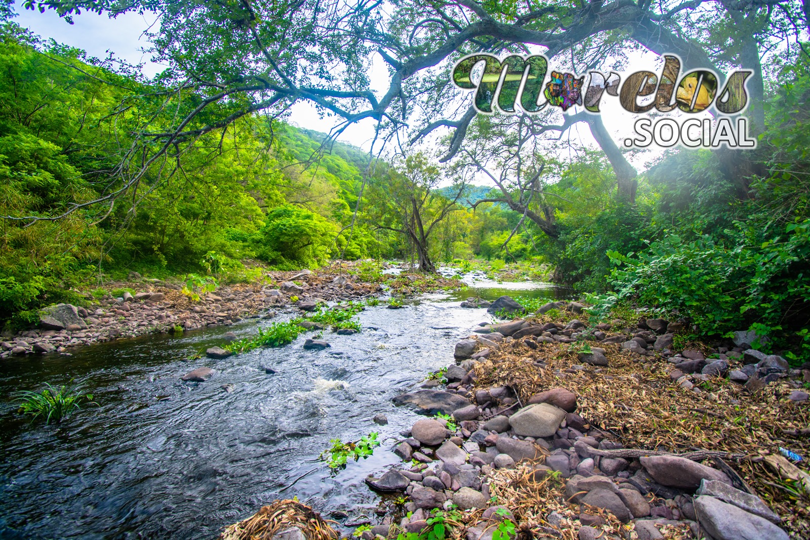 Rio dentro de la reserva de la biosfera "La Sierra de Huautla" del estado de Morelos, México