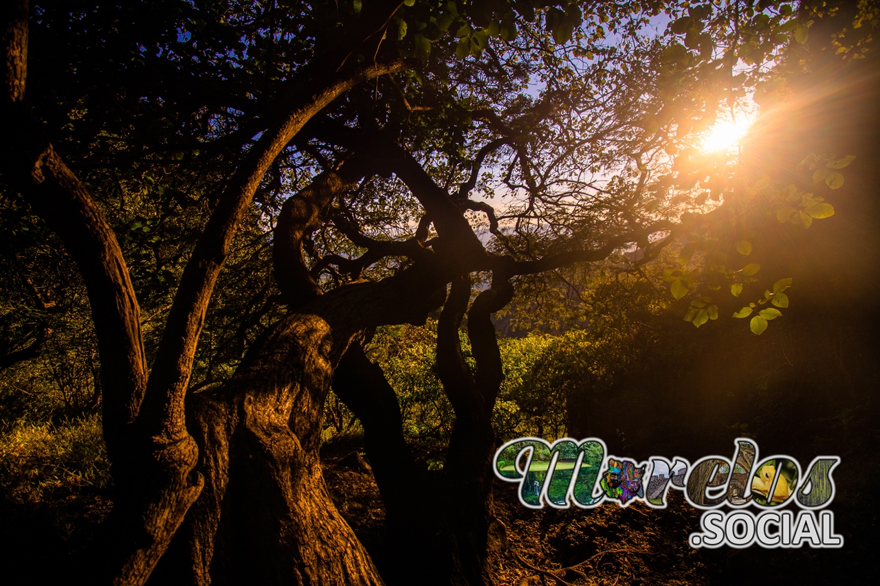 Atardecer visto desde dentro del cerro del Papalotzin en Tlayacapan, Morelos