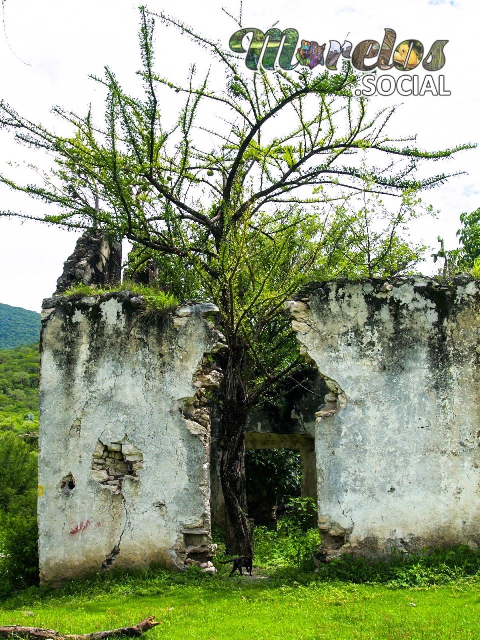 La histórica Ex-hacienda San Jacinto Ixtoluca.