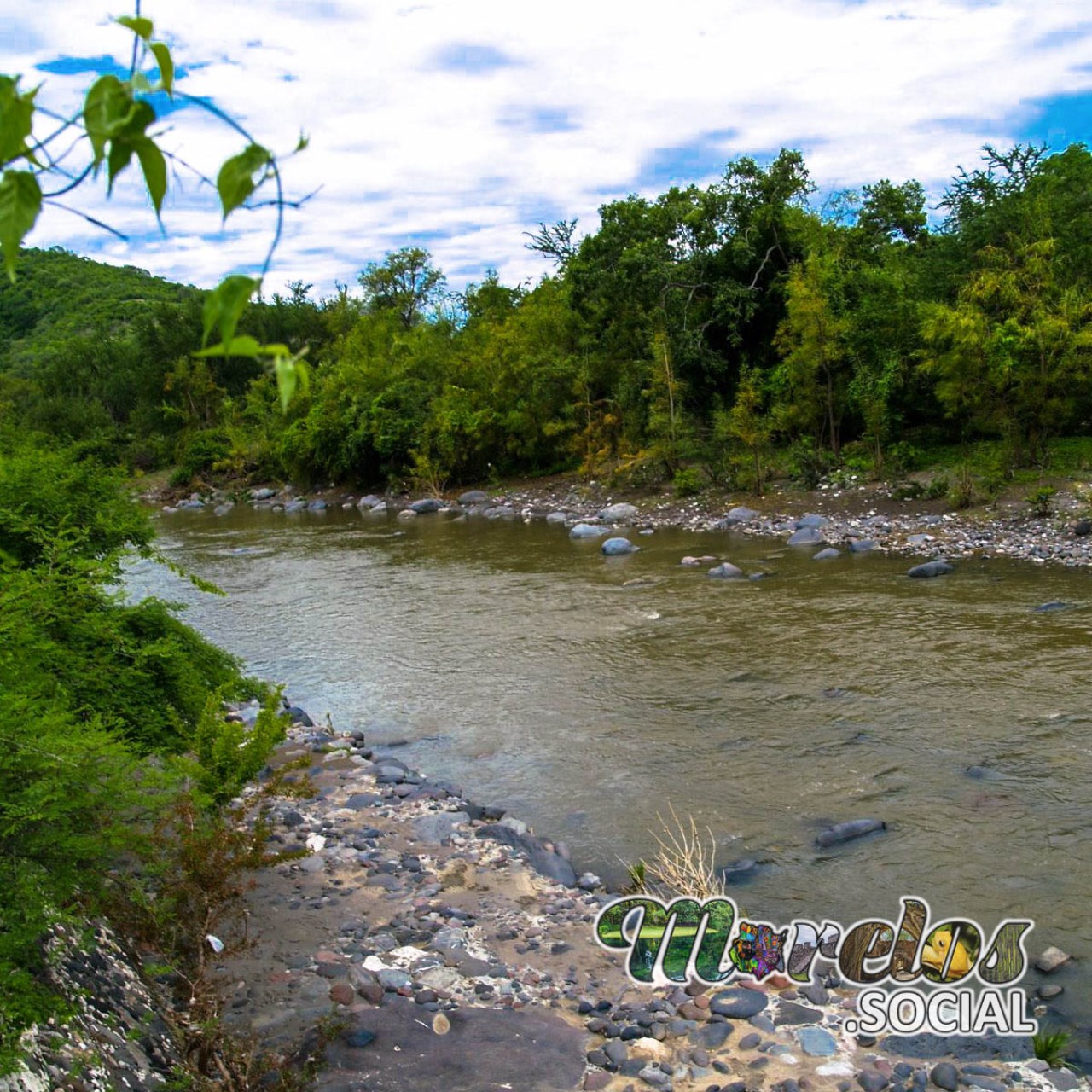 Hermoso paisaje de la naturaleza en la exhacienda de Ixtoluca , un río y vegetación lleno de vida.