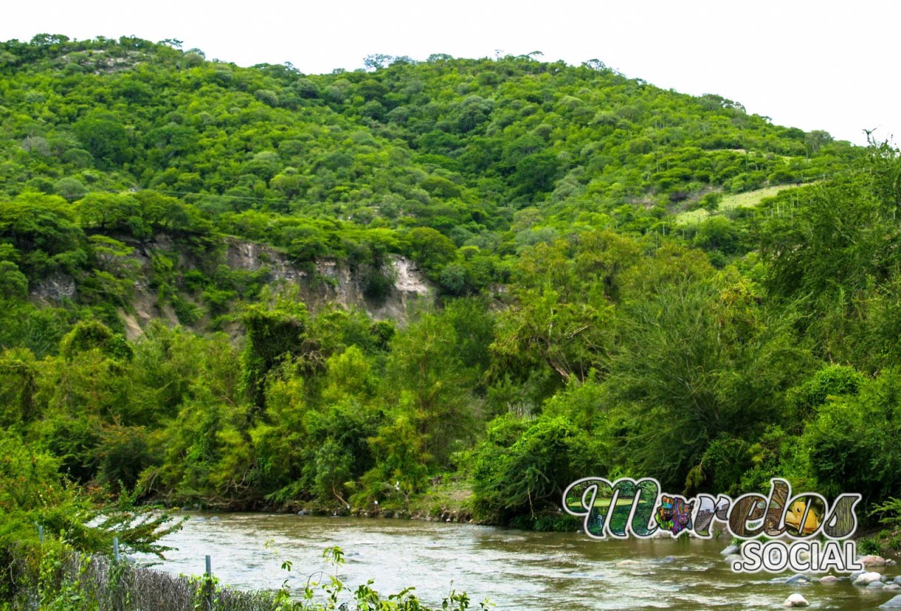 Hermoso paisaje de la naturaleza en la exhacienda de Ixtoluca , un río y vegetación lleno de vida.