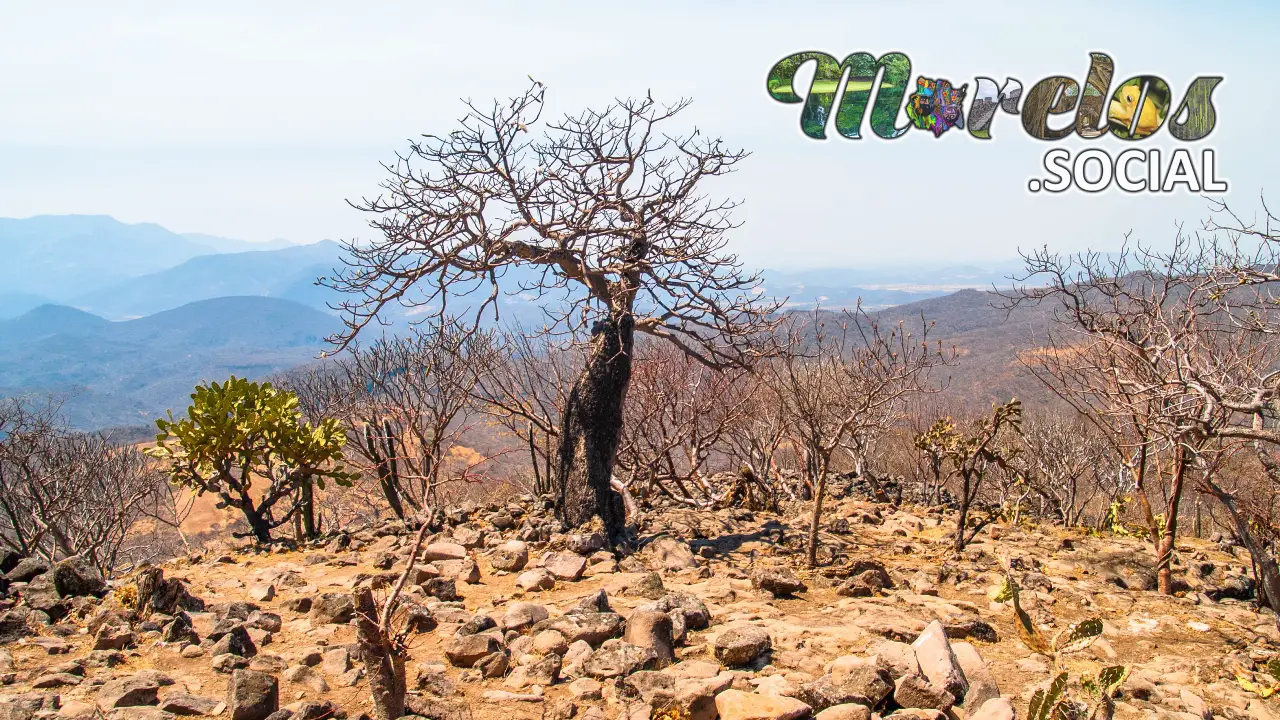 Una Oda al Otoño desde las Alturas de Chimalacatlán