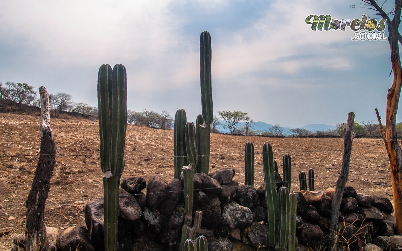 Atardecer entre Campos: La Serenidad de la Naturaleza Morelense